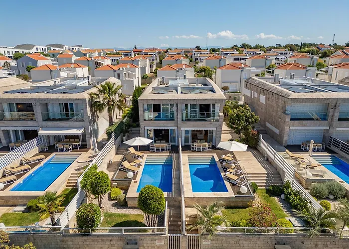 Camelia Zadarvillas * 돈제페트레케인