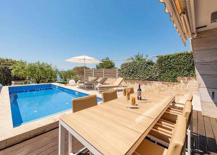 Camelia Zadarvillas * Petrcane